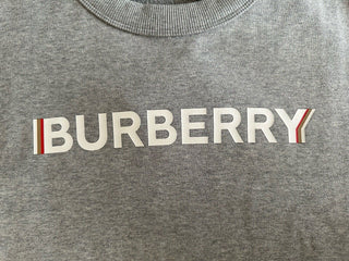 Burberry Fawson Pale Grey Sweatshirt 2XS 8052992 (Oversized) NWT $680