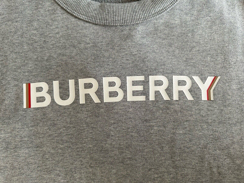 Burberry Fawson Pale Grey Sweatshirt 2XS 8052992 (Oversized) NWT $680