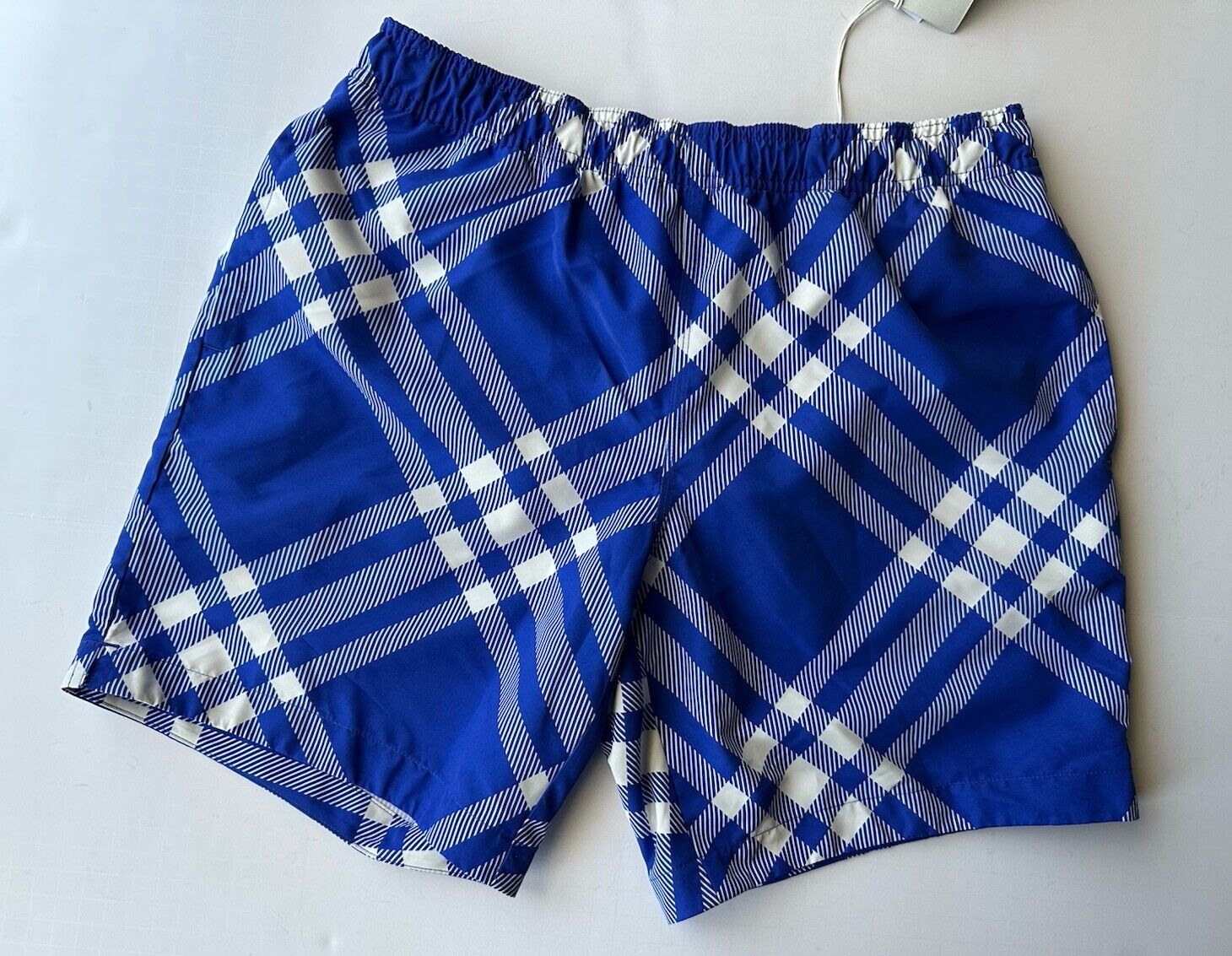 Burberry Men's Knight Blue IP Check Boxer Swim Shorts Small 8079900 NWT $630