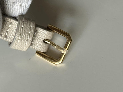 Burberry Madison MX House Check Crossbody Bag Limestone 8104432 NWT $1350