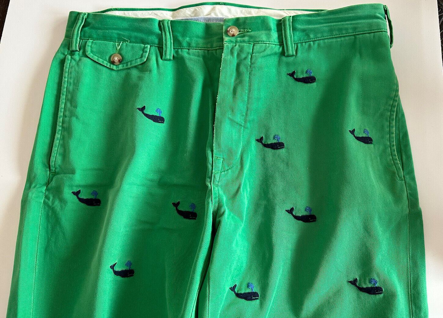 Polo Ralph Lauren Men's Classic Fit Green Shorts Size 33 US